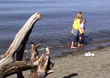 Children playing in Puget Sound waters