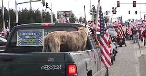 truck, great dane, big flag and... crowd!